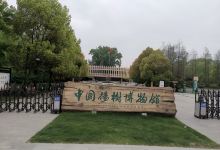 中国杨树博物馆景点图片