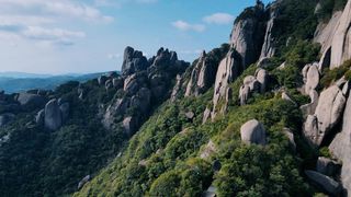 “天下白茶、源于太姥”，在太姥山寻找茶中之王