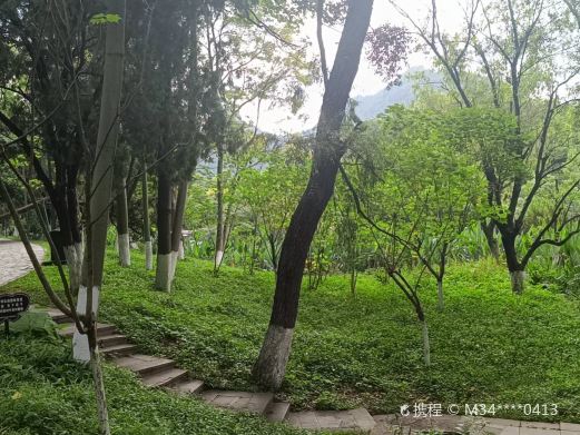 放鹤洲