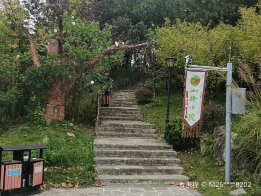松鼠林公园