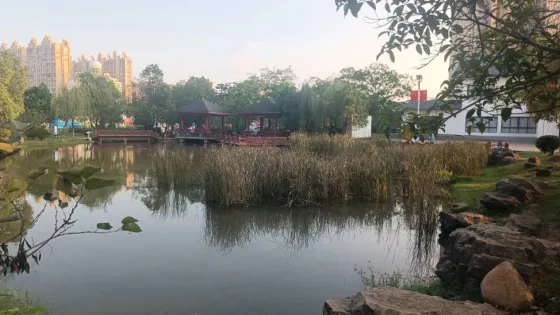 鄱陽湖公園-白天鵝公園