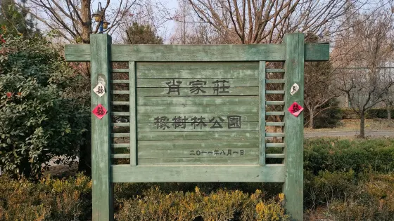 肖家莊橡樹林公園