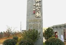 龙山森林公园景点图片