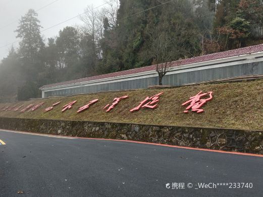 桐木岭景区
