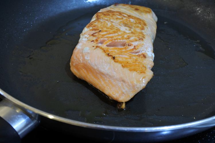 Salmon