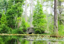 Cypress Gardens景点图片