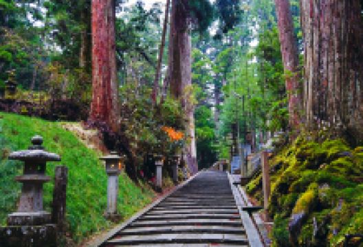 高野山奥之院景点图片