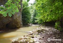Gorge of Varghis景点图片