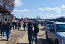 Webb Road Flea Market购物图片