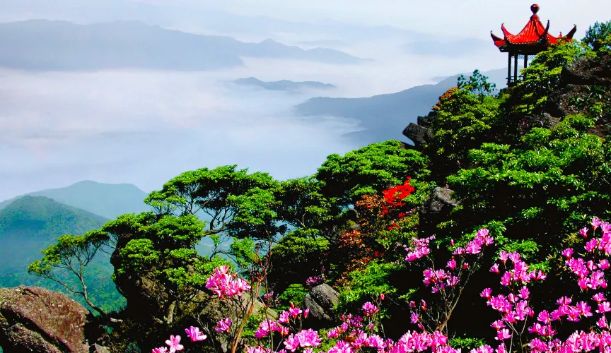 永安旅遊