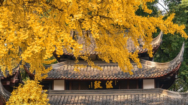 15-Day China Highlights Tour: Beijing, Chengdu Pandas, Jiuzhaigou, Chongqing, Shanghai & Suzhou

