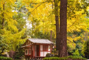 【2-8人团】都江堰中华大熊猫苑+杜甫草堂+武侯祠一日游【[优势亮点]:私家团、ViP 包车一单一团含景区门票，不拼车，专车专用，属于您的专属空间】