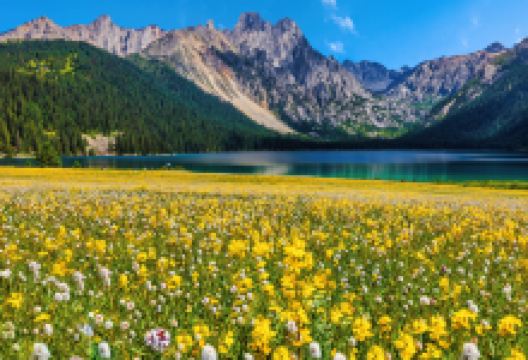 巴塘措普沟景区景点图片