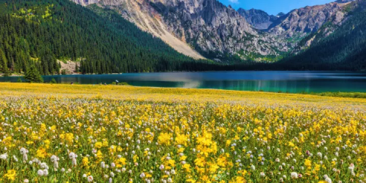 巴塘措普溝景區