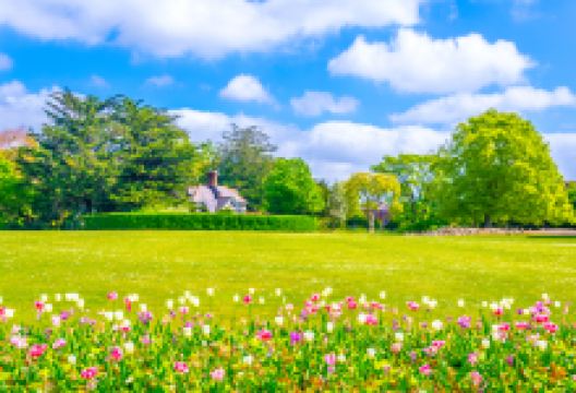 凤凰公园景点图片