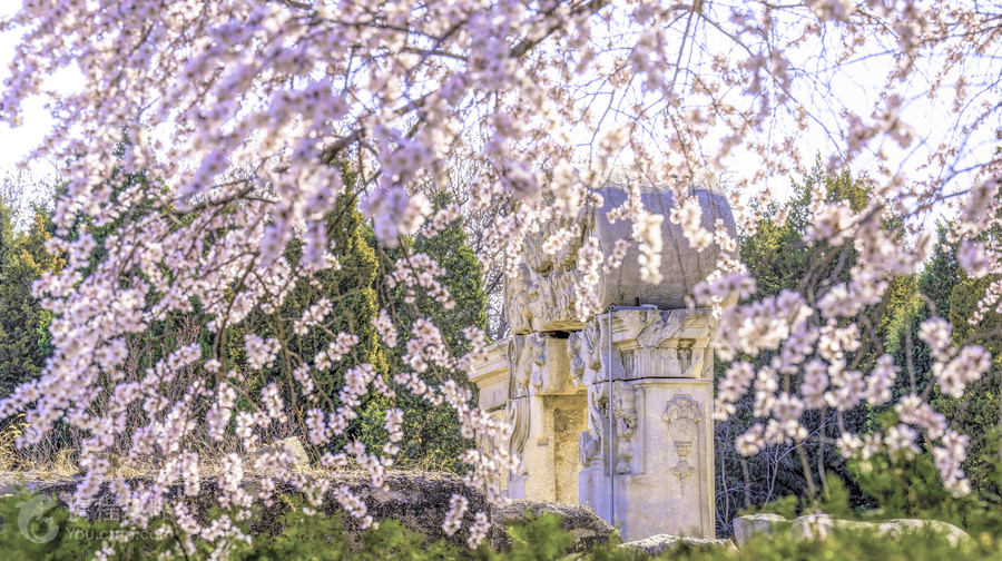 圓明園