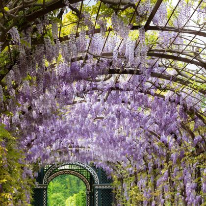 捷克6日4晚拼小团