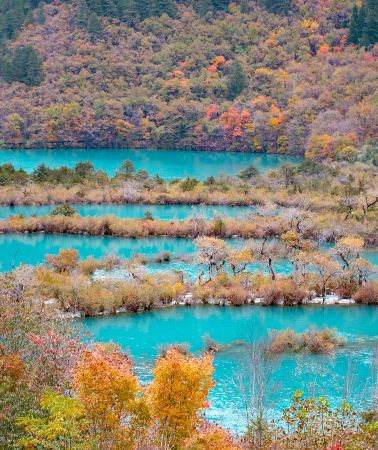 6D5N•Chengdu+Panda+Jiuzhai+Leshan+Huanglong+Mounigou-Round-trip high-speed train tickets included. Adjustable travel days, discount available on inquiry