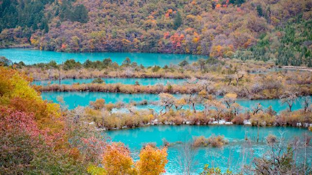 3-Day Sichuan Private Tour from Chengdu· Chengdu Research Base of Giant Panda, Jiuzhaigou, Huanglong Scenic Area