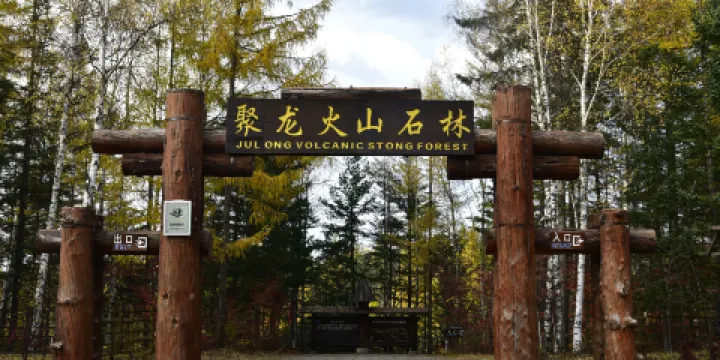 聚龍火山石林景區