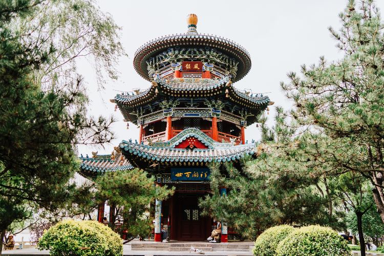 迎泽公园