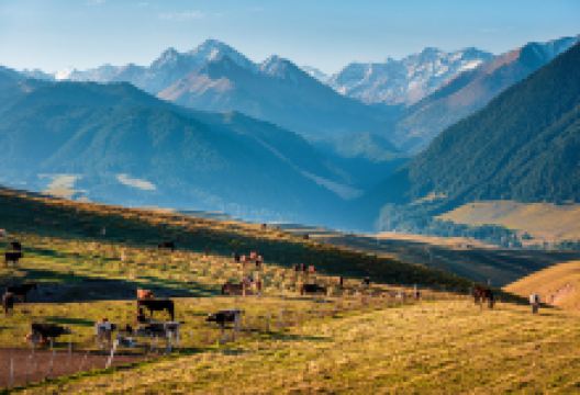 琼库什台景点图片