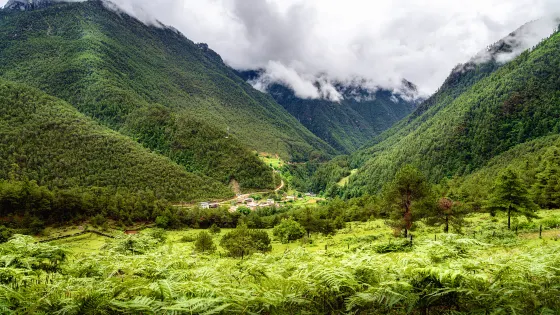 尼汝村