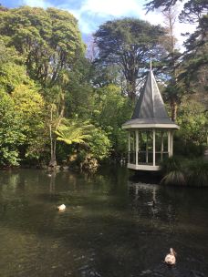 奥塔里植物园-惠灵顿-gracewyin