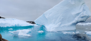 南极洲游记图文-南极——另类圣地