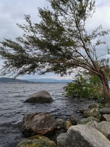 马久邑村-大理市-闵兮