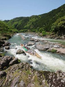 龟冈市-翱翔的大鲨鱼