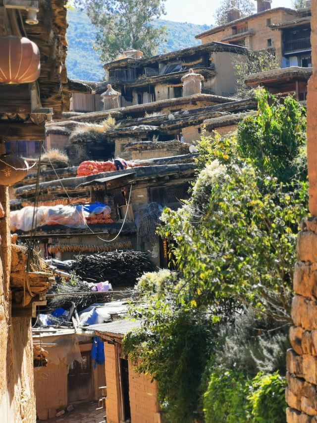 泸西城子古村旅行图片 12