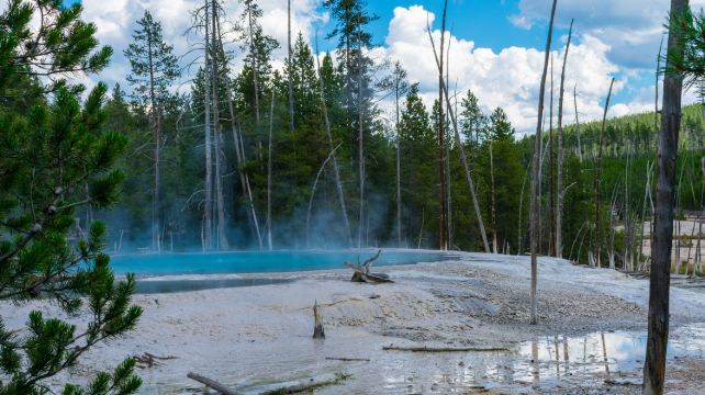 4-Day Yellowstone Tour from Salt Lake City·Grand Teton, Artist Point, Upper Yellowstone Falls, Mud Volcano Area