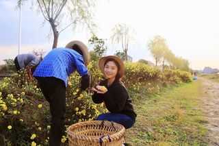 嘉兴旅行|两天一夜,开着房车去旅行