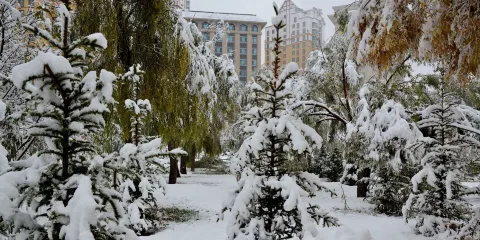 馬家窯文化廣場