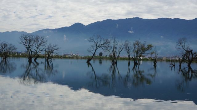 黄龙潭公园旅行图片 4