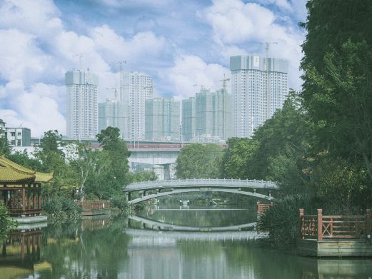 戴家湖公园