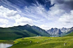 果洛游记图片] 河湟印象丨天神的后花园——年保玉则