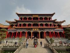 金台寺-珠海-大松树叶子