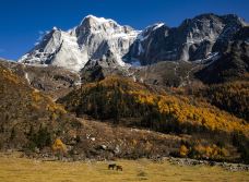 四姑娘山长坪沟景区-幺妹峰-小金