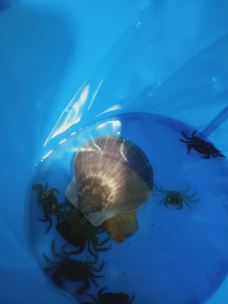 大长山岛-长海-YoYo_3Y2A4E5U