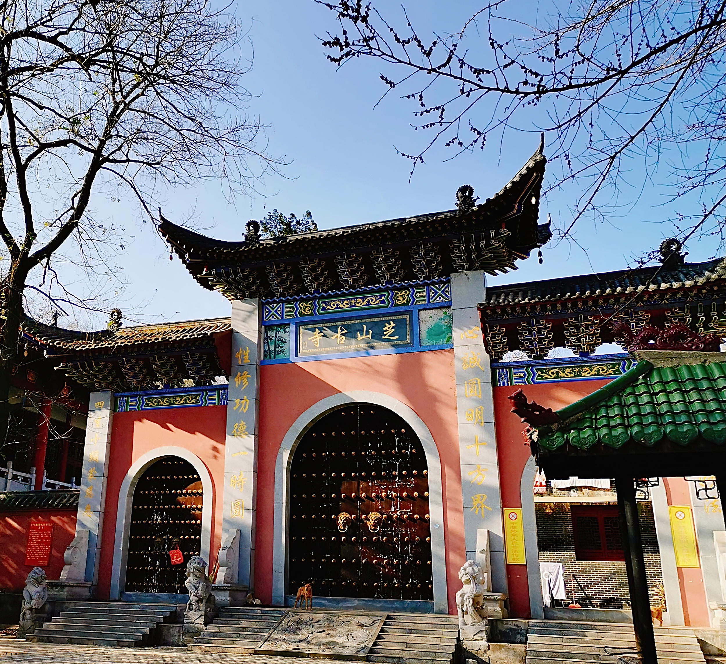 鄱陽4日遊:鄱陽湖的濕地美景、忠臣廟的歷史以及江豚灣