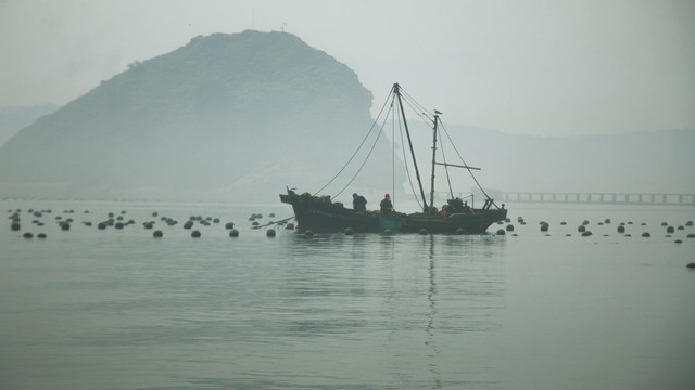 大连海岛哪个好玩?这个小岛沙滩最细腻,超大赶海基地随便捡!