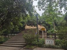 晓港公园-广州-张鹏Patrick