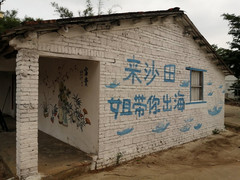 沙田镇游记图片] 乡村振兴示范点遇上手绘墙画，就是向往的生活，快来合浦县沙田镇