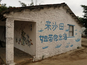 沙田镇游记图文-乡村振兴示范点遇上手绘墙画，就是向往的生活，快来合浦县沙田镇