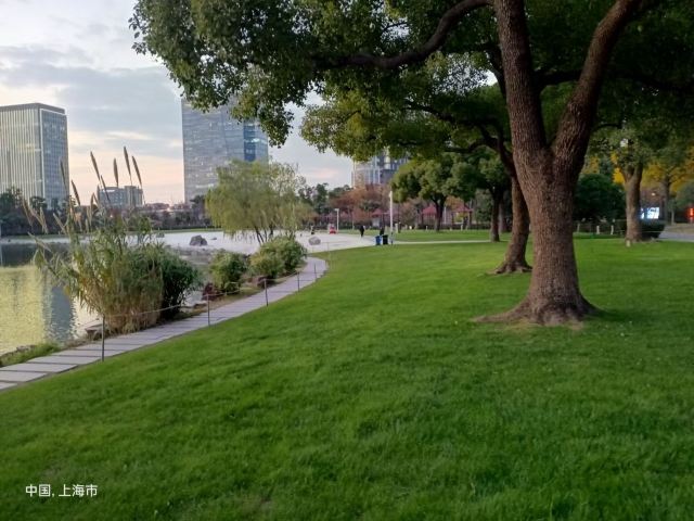 天山公园旅行图片 2