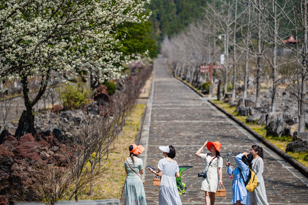 春日的仪式感•一起来火山公园踏青野餐吧！