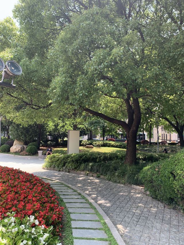 黄浦公园旅行图片 4