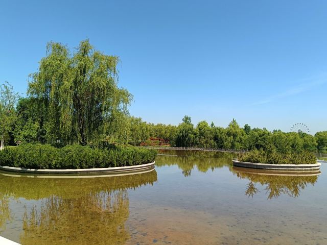 西安浐灞国家湿地公园旅行图片 3